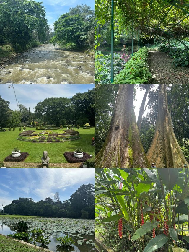 印尼茂物：小眾寶藏旅行地，邂逅綠野仙蹤