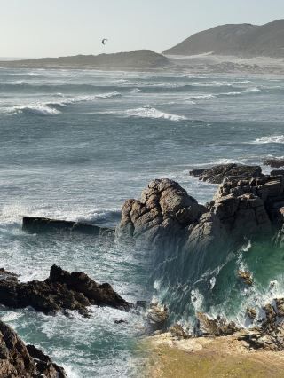 Move over, Cape Town! Your Ultimate Guide to Port Elizabeth, South Africa's Hidden Gem