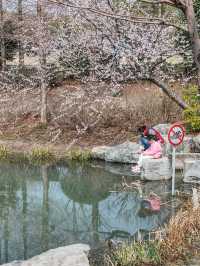 花開海上生態園