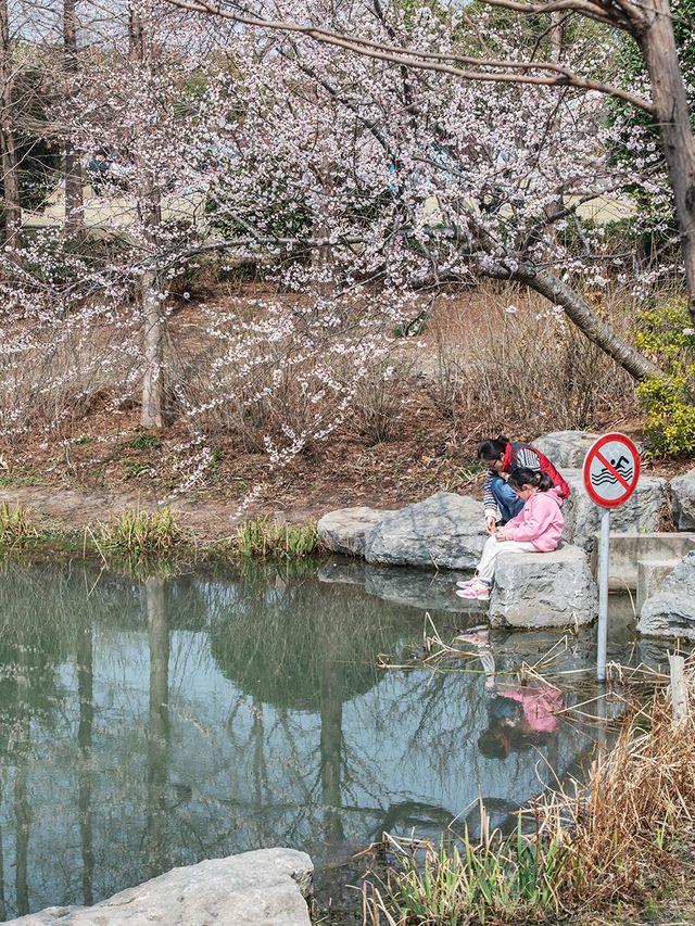 花開海上生態園