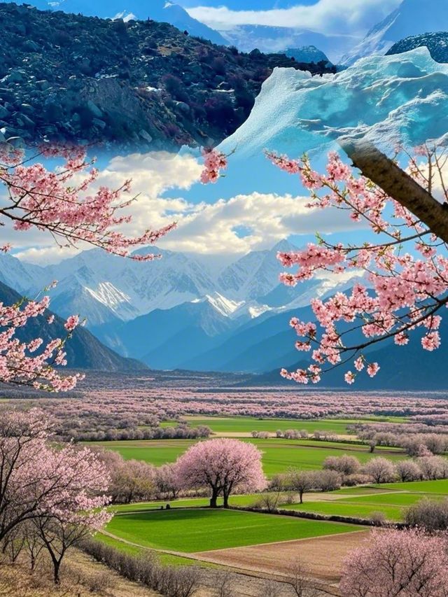 去有花盛開的地方，欣賞山川之美