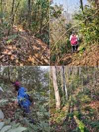 寧波：地鐵直達這條「野路子」！