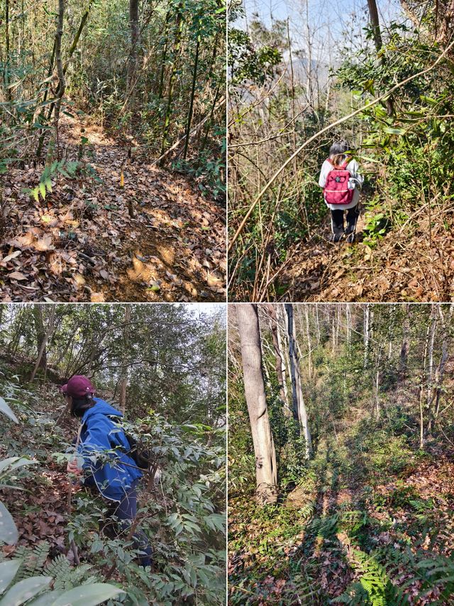 寧波：地鐵直達這條「野路子」！