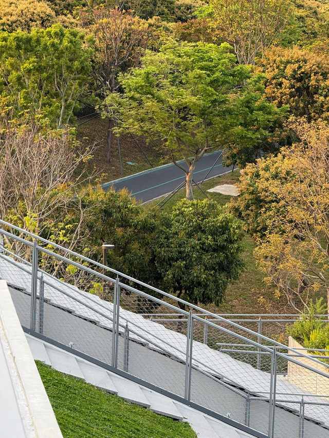 🌳深圳西麗水庫公園，藏在鬧市的秘境！