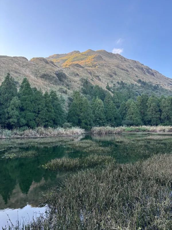 在陽明山感受心無外物的旅行：從擎天崗到小油坑