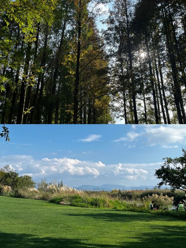 探索昆明海洪濕地，與自然共舞