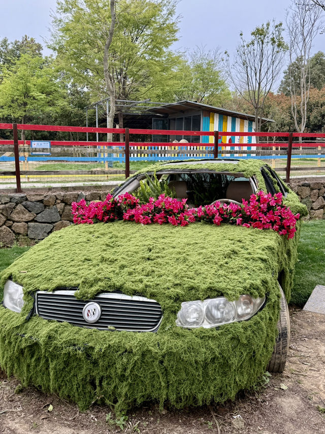 Afternoon @ Nanshan Ranch