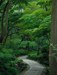 西湖唔止得斷橋同靈隱寺！仲有呢啲小眾秘境