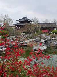 南京地鐵4號線直達，春花美到破防！