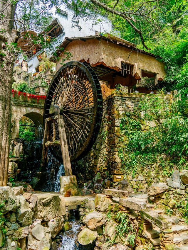 尋夢婺源：油菜花海與徽派建築的千年詩畫