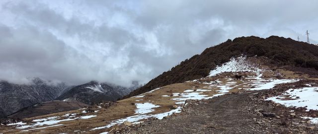 金川自駕遊，邂逅雪域梨鄉之美