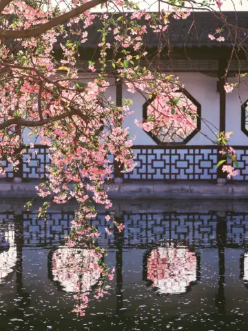 來南京玩，很多人都錯過了這裏！