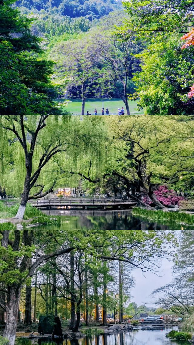 4月旅行天花板！這5條路線美到詞窮！