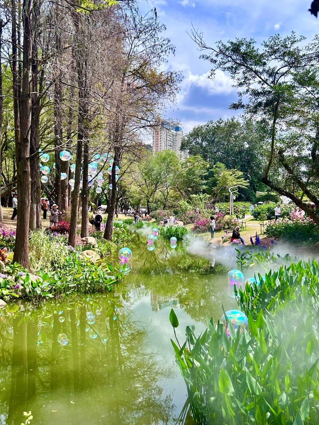 深圳人民公園 | 莫奈秘境花園🫧春日氣氛感  這是深圳市內最早的公園之一，安靜人少，閒暇時來這
