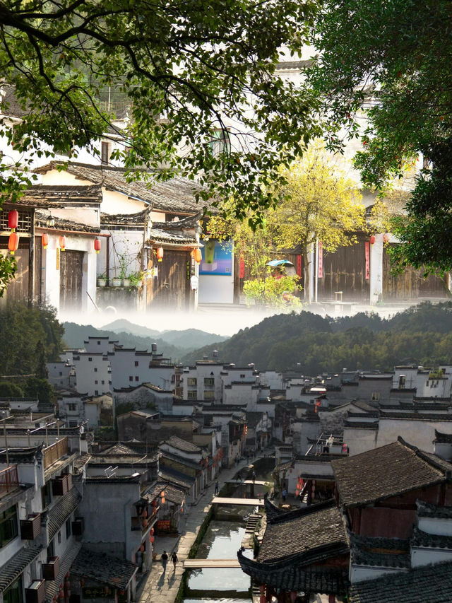 婺源|中國最美鄉村,春天像打翻了調色盤! 婺源|中國最美鄉村,春天像打翻了調色盤!