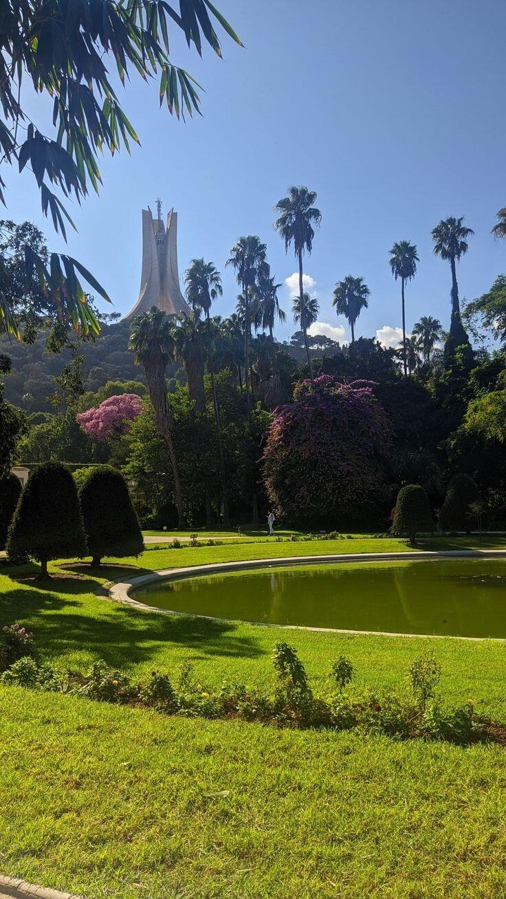 Planning a trip to Algiers? Here's an essential travel guide you won't want to miss! 