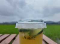✨中山隱藏版田園咖啡秘境！偽出國感直接拉滿☕️