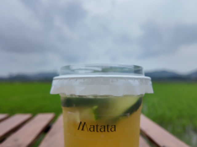 ✨中山隱藏版田園咖啡秘境！偽出國感直接拉滿☕️