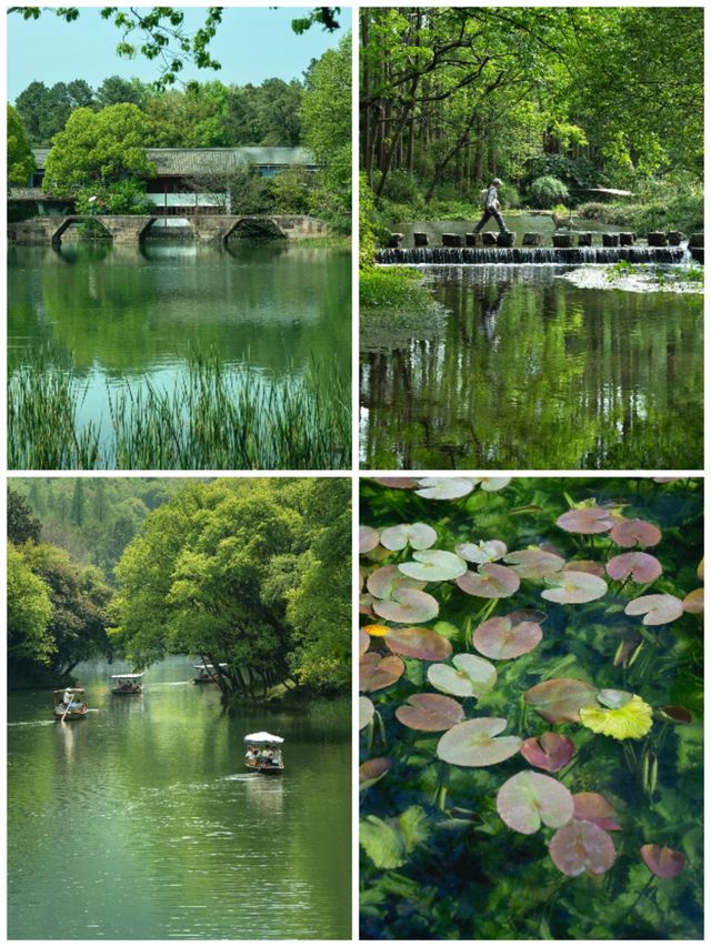 杭州3天2夜深度遊｜西湖×靈隱寺×西溪濕地全攻略