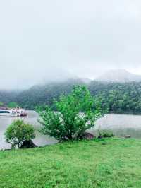 杭州新安綠道西溪畈，人少景美的世外桃源