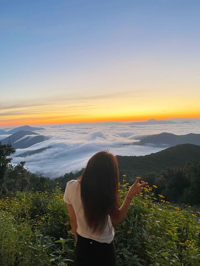 東北人嘅阿勒泰 雲端草原