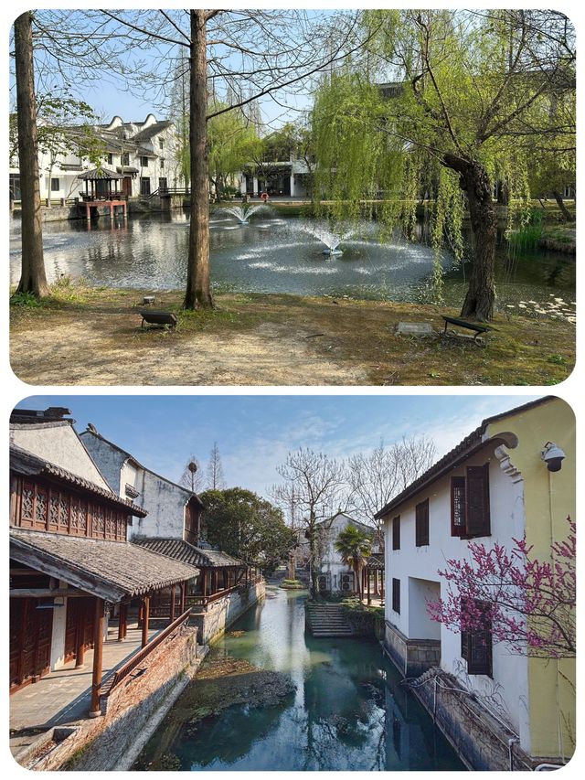 梅花洲花季啱啱好，五一記得早啲安排行程喇
