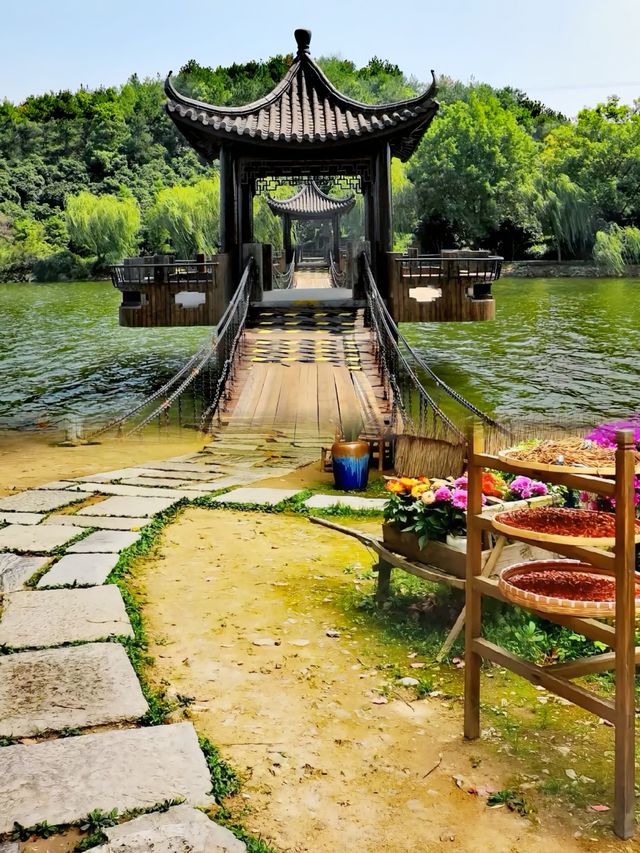 城市人嘅下鄉記：魚頭湯飲到飽，竹海茶園任影唔嬲