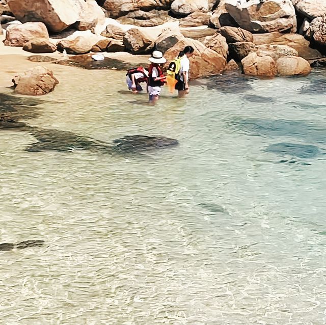 深圳大澳灣：浮潛與趕海嘅夢幻之境