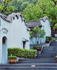 唐山遵化禪林寺古銀杏風景園參觀攻略