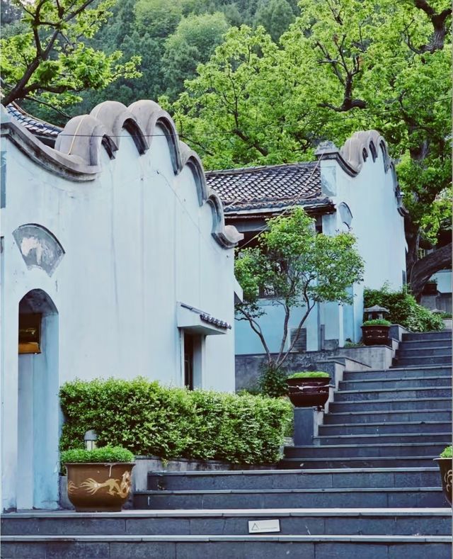 唐山遵化禪林寺古銀杏風景園參觀攻略