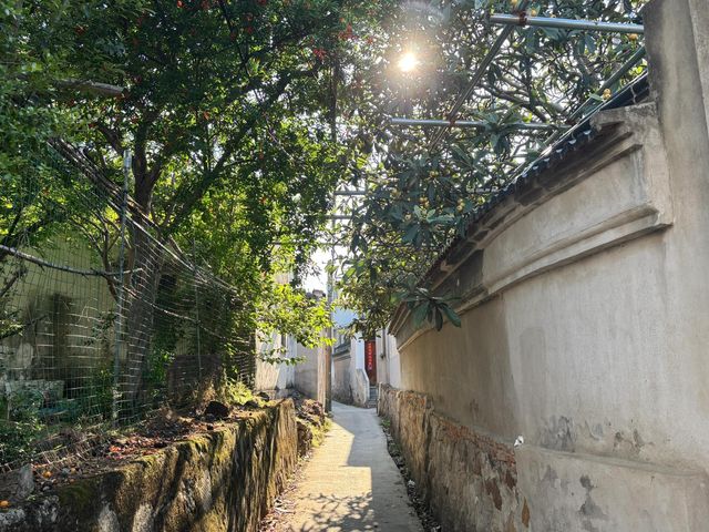 西山島私藏徒步路線｜闖入綠野仙蹤嘅治癒週末