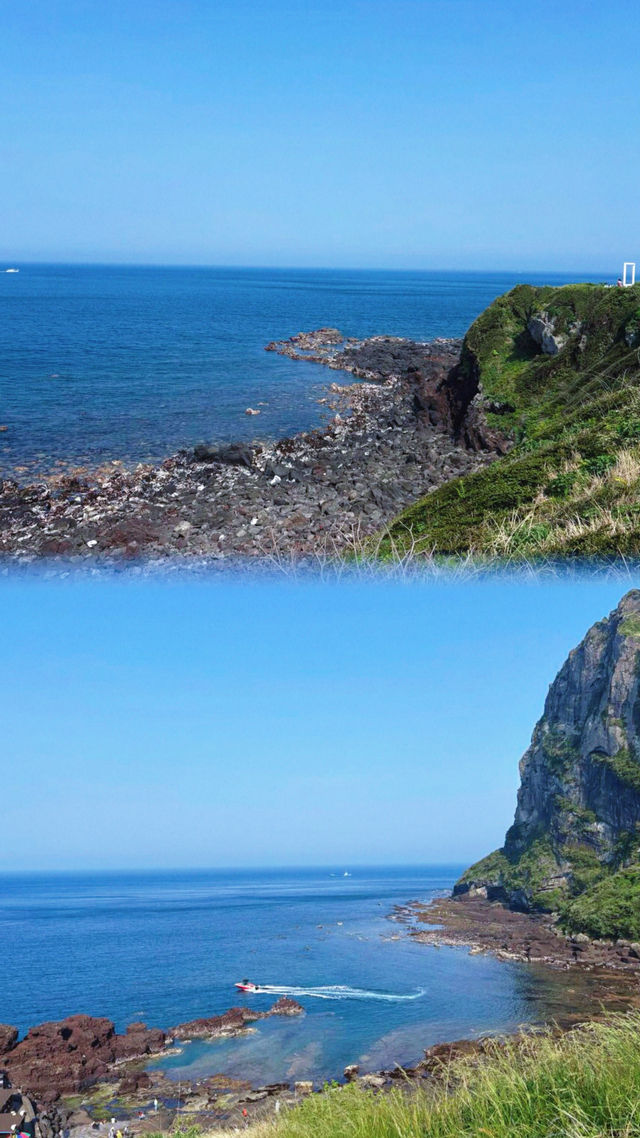 牛島| 苦盡柑來遇見你