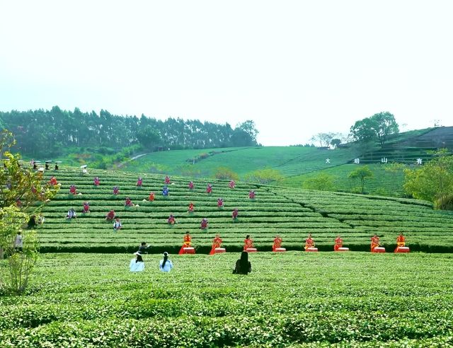 南寧休閒好去處 | 一場初夏的慢活之旅