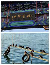 北京4天封神攻略！本地人私藏路線