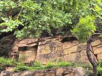 登山，由西山國家森林公園穿越至八大處公園。