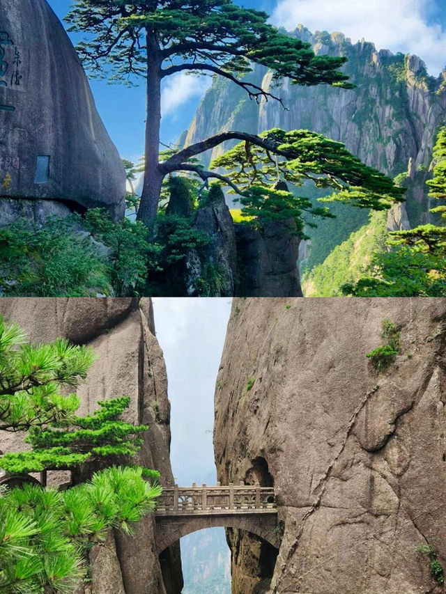 【黃山，一場與雲端的約會】