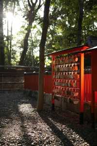 穿越千年京都：一座城市，半部日本史
