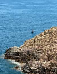 逃離人群嘅香港小眾海島，果洲群島