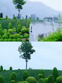 溫州泰順｜住進山尖尖上的阿那亞，躺看雲海