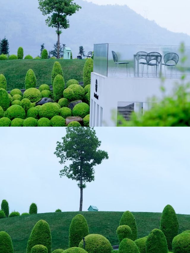 溫州泰順｜住進山尖尖上的阿那亞，躺看雲海