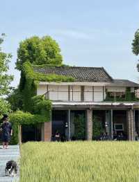 成都周邊~發呆放空躺平~ 上班族最佳精神放鬆地！