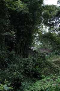 香積寺探幽 | 合谷山居專屬行山體驗
