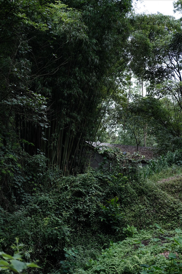 香積寺探幽 | 合谷山居專屬行山體驗