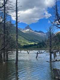 講真話可能難聽，但呢啲都係四姑娘山6-7月嘅真實情況