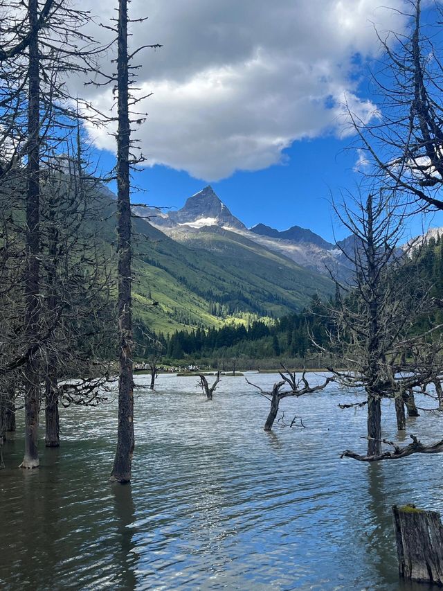 講真話可能難聽，但呢啲都係四姑娘山6-7月嘅真實情況