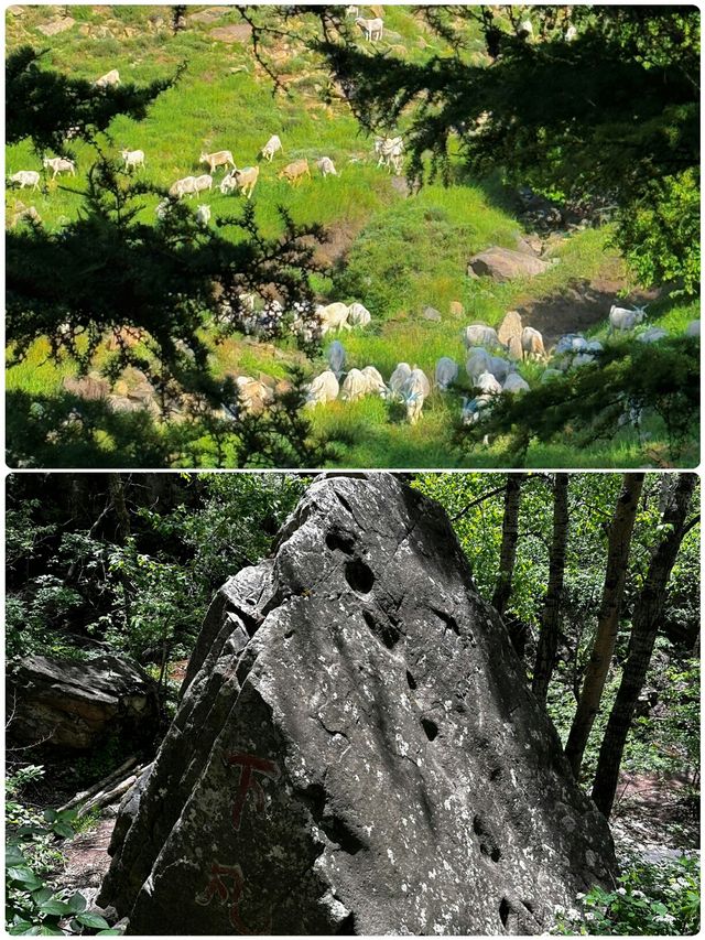 包头受罪已回，真係唔建議6月份嚟