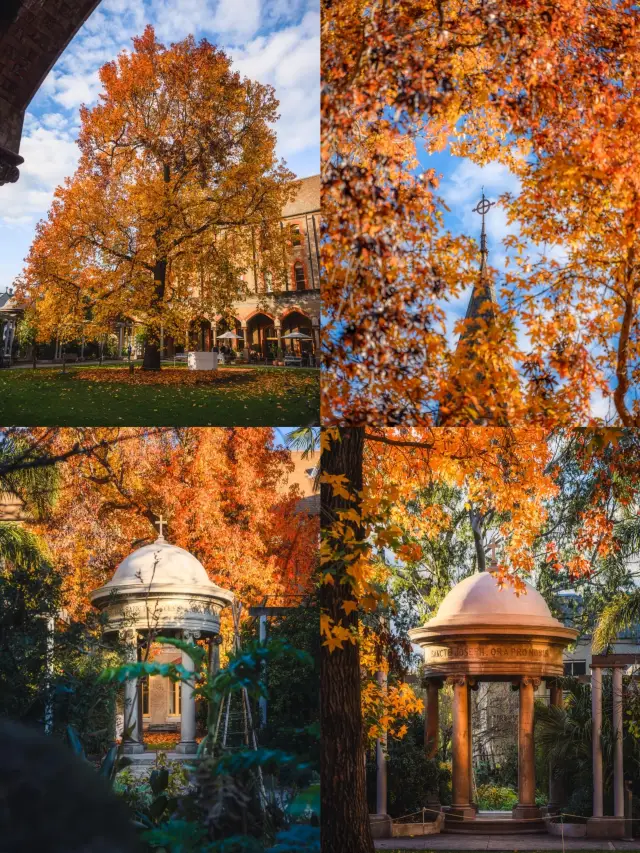 The world is so big, you must visit Melbourne at least once!