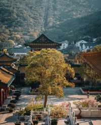 夏日遊普陀山-溪口 超實用攻略