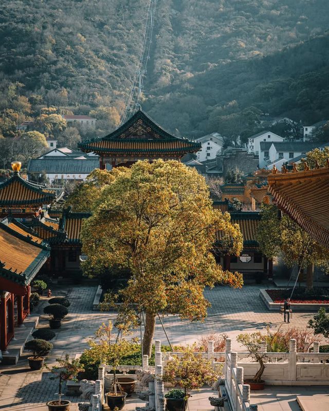 夏日遊普陀山-溪口 超實用攻略