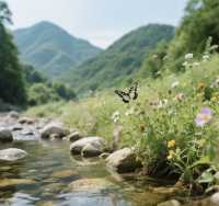 浙里有山，山山不同｜金華牛頭山、溫州雁蕩山、台州天台山旅拍